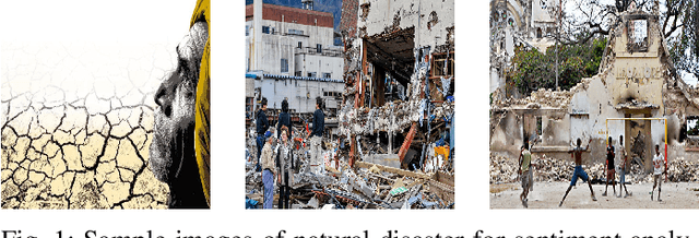 Figure 1 for Visual Sentiment Analysis from Disaster Images in Social Media