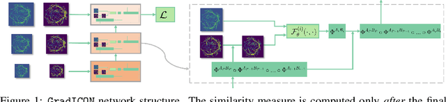 Figure 1 for GradICON: Approximate Diffeomorphisms via Gradient Inverse Consistency