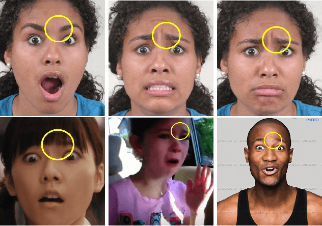 Figure 1 for EmotioNet Challenge: Recognition of facial expressions of emotion in the wild