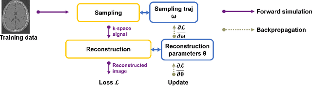 Figure 1 for Stochastic Optimization of 3D Non-Cartesian Sampling Trajectory (SNOPY)