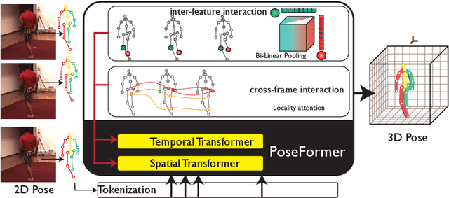 Figure 1 for CrossFormer: Cross Spatio-Temporal Transformer for 3D Human Pose Estimation