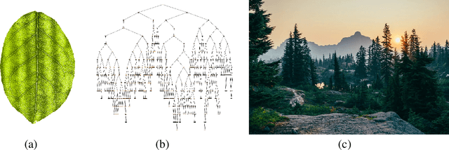 Figure 2 for On the Origin of Species of Self-Supervised Learning