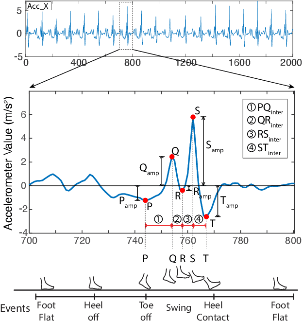 Figure 1 for Formalizing PQRST Complex in Accelerometer-based Gait Cycle for Authentication