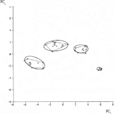 Figure 1 for Estimating motion with principal component regression strategies
