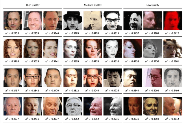 Figure 2 for Reliable Probabilistic Face Embeddings in the Wild