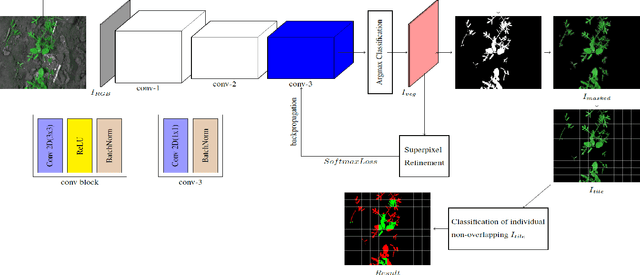 Figure 1 for Weed Density and Distribution Estimation for Precision Agriculture using Semi-Supervised Learning