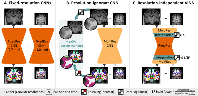Figure 1 for FastSurferVINN: Building Resolution-Independence into Deep Learning Segmentation Methods -- A Solution for HighRes Brain MRI