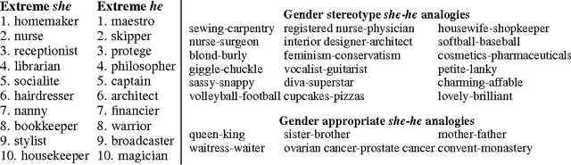 Figure 1 for Man is to Computer Programmer as Woman is to Homemaker? Debiasing Word Embeddings