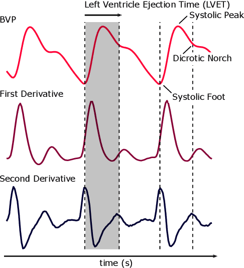 Figure 1 for Learning Higher-Order Dynamics in Video-Based Cardiac Measurement