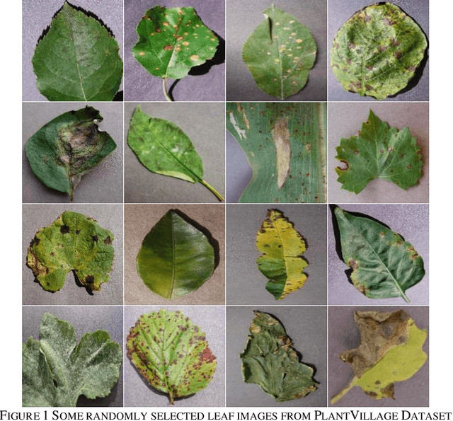 Figure 1 for Leaf Image-based Plant Disease Identification using Color and Texture Features