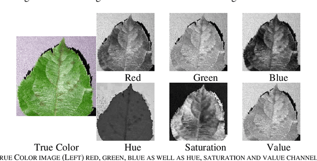 Figure 3 for Leaf Image-based Plant Disease Identification using Color and Texture Features