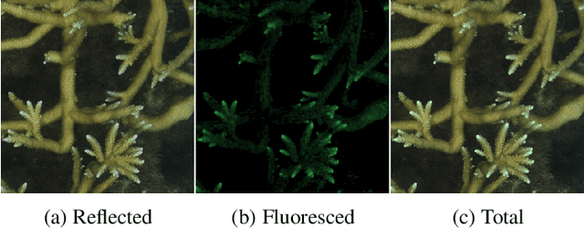 Figure 3 for Simultaneous Surface Reflectance and Fluorescence Spectra Estimation