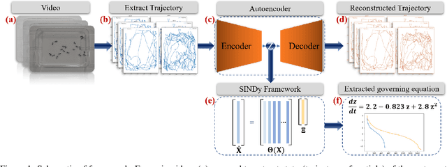 Figure 1 for Dominant motion identification of multi-particle system using deep learning from video