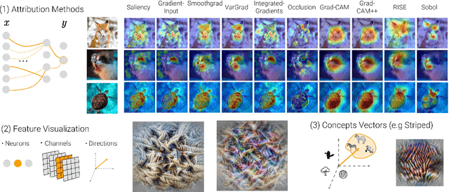 Figure 1 for Xplique: A Deep Learning Explainability Toolbox