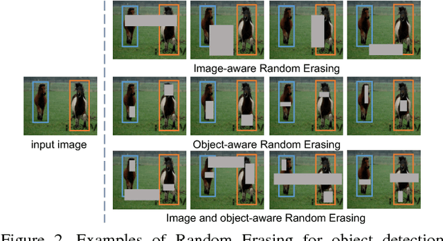 Figure 3 for Random Erasing Data Augmentation