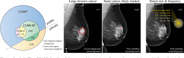 Figure 3 for CSAW-M: An Ordinal Classification Dataset for Benchmarking Mammographic Masking of Cancer