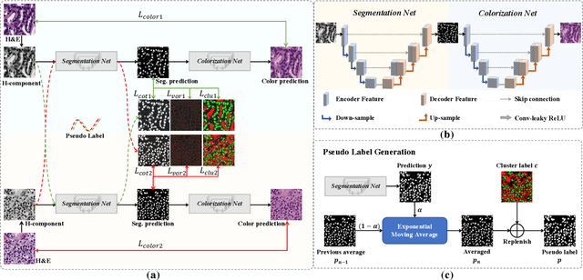Figure 2 for Label Propagation for Annotation-Efficient Nuclei Segmentation from Pathology Images