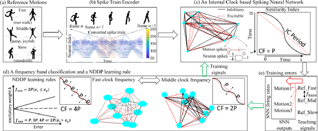 Figure 2 for An Internal Clock Based Space-time Neural Network for Motion Speed Recognition