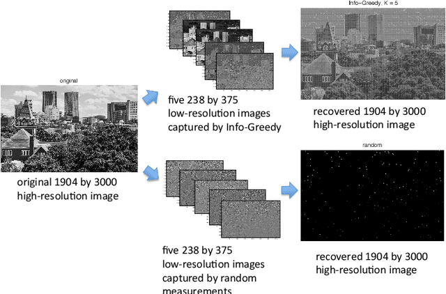 Figure 1 for Sequential Information Guided Sensing