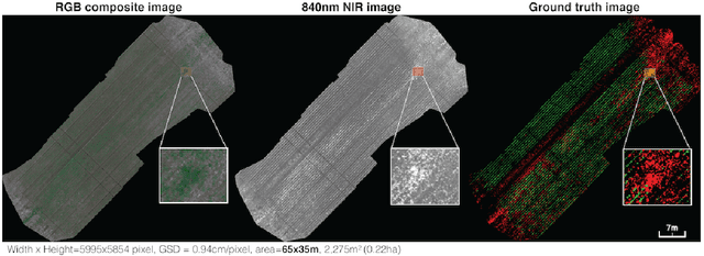 Figure 1 for WeedMap: A large-scale semantic weed mapping framework using aerial multispectral imaging and deep neural network for precision farming