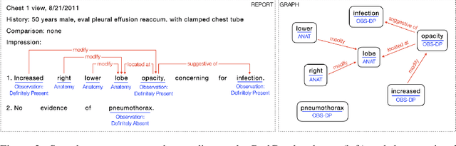Figure 3 for RadGraph: Extracting Clinical Entities and Relations from Radiology Reports