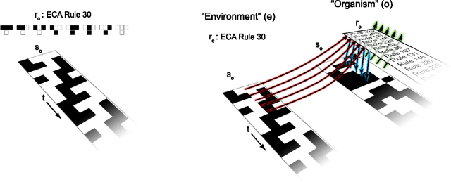 Figure 3 for Formal Definitions of Unbounded Evolution and Innovation Reveal Universal Mechanisms for Open-Ended Evolution in Dynamical Systems