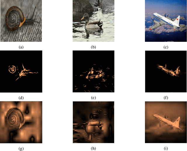 Figure 2 for A Rate-Distortion Framework for Explaining Black-box Model Decisions
