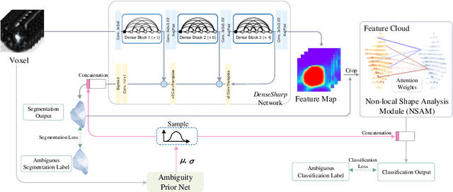 Figure 1 for Probabilistic Radiomics: Ambiguous Diagnosis with Controllable Shape Analysis