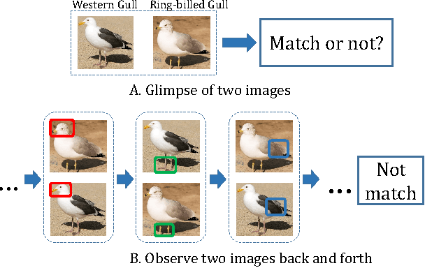 Figure 1 for Image Matching via Loopy RNN