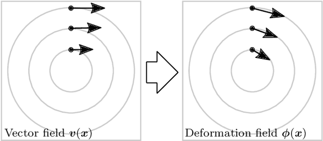 Figure 4 for Diffeomorphic Particle Image Velocimetry