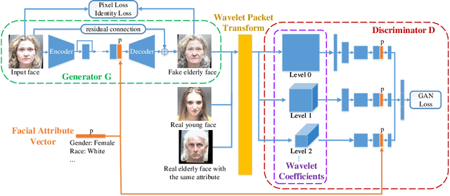 Figure 3 for Attribute Enhanced Face Aging with Wavelet-based Generative Adversarial Networks