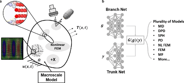 Figure 1 for Interfacing Finite Elements with Deep Neural Operators for Fast Multiscale Modeling of Mechanics Problems