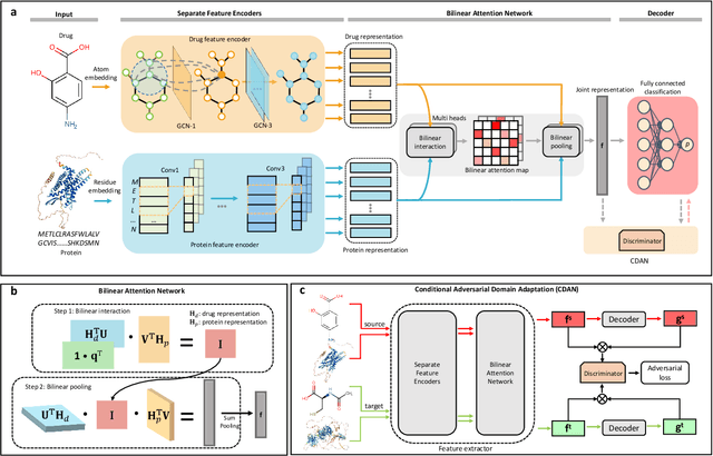 Figure 1 for Interpretable bilinear attention network with domain adaptation improves drug-target prediction