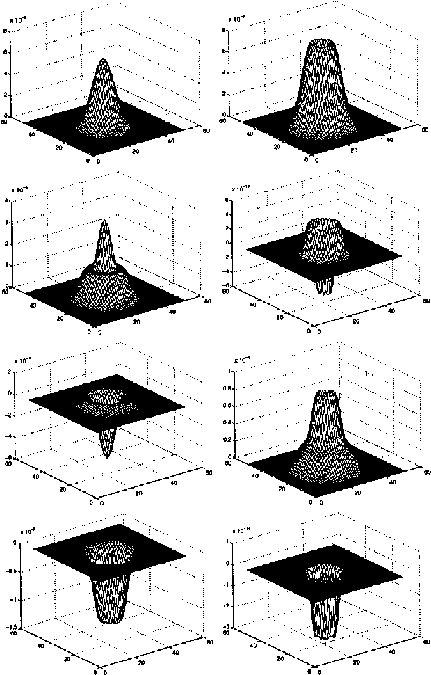 Figure 2 for A Differential Invariant for Zooming