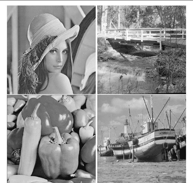 Figure 1 for Removing Mixture of Gaussian and Impulse Noise by Patch-Based Weighted Means