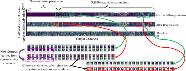 Figure 4 for Self-Reorganizing and Rejuvenating CNNs for Increasing Model Capacity Utilization