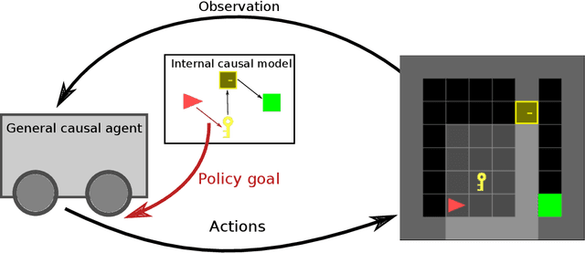 Figure 1 for Causal variables from reinforcement learning using generalized Bellman equations