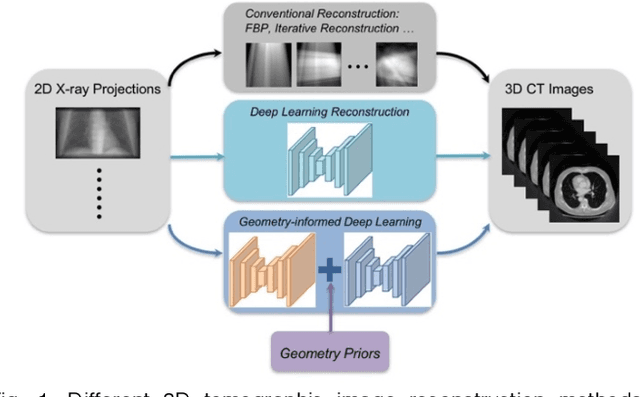 Figure 1 for A Geometry-Informed Deep Learning Framework for Ultra-Sparse 3D Tomographic Image Reconstruction
