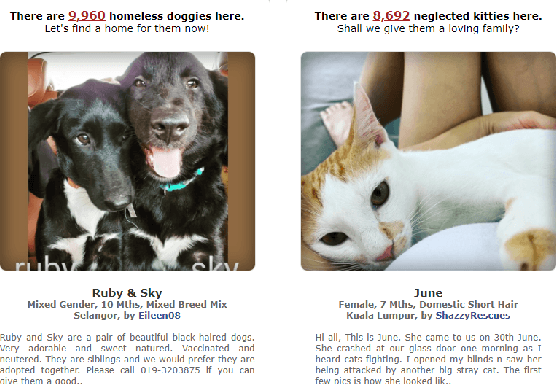 Figure 1 for PETS-SWINF: A regression method that considers images with metadata based Neural Network for pawpularity prediction on 2021 Kaggle Competition "PetFinder.my"