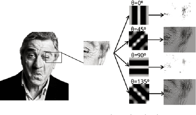 Figure 1 for Feeding Hand-Crafted Features for Enhancing the Performance of Convolutional Neural Networks