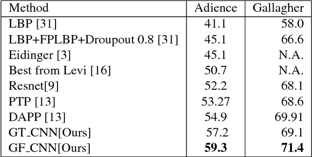 Figure 2 for Feeding Hand-Crafted Features for Enhancing the Performance of Convolutional Neural Networks