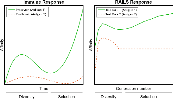 Figure 3 for RAILS: A Robust Adversarial Immune-inspired Learning System