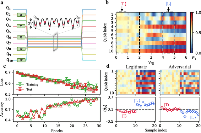 Figure 3 for Experimental quantum adversarial learning with programmable superconducting qubits