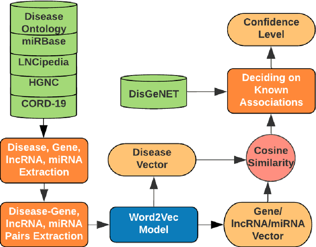 Figure 4 for COVID-19Base: A knowledgebase to explore biomedical entities related to COVID-19