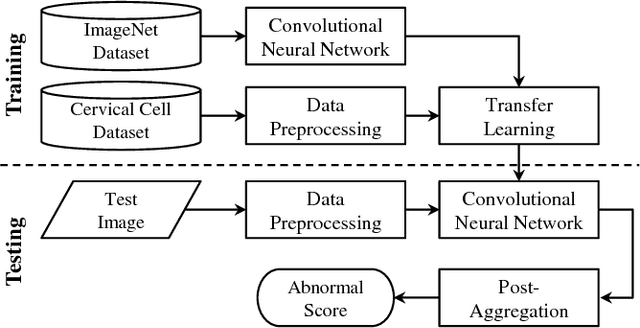 Figure 1 for DeepPap: Deep Convolutional Networks for Cervical Cell Classification