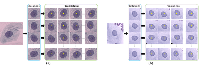 Figure 3 for DeepPap: Deep Convolutional Networks for Cervical Cell Classification