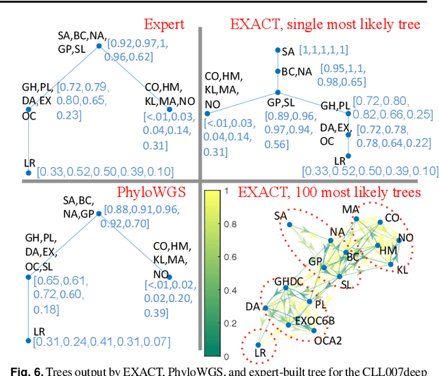 Figure 4 for Exact inference under the perfect phylogeny model