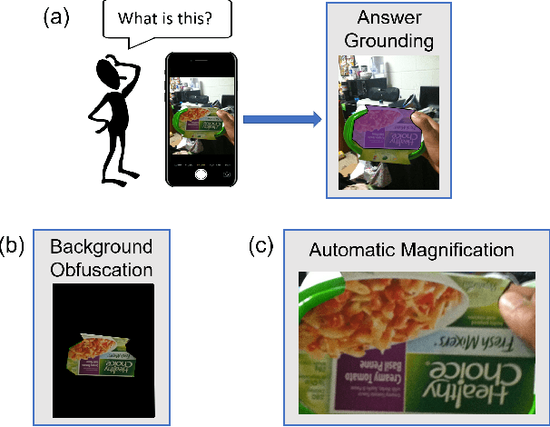 Figure 1 for Grounding Answers for Visual Questions Asked by Visually Impaired People