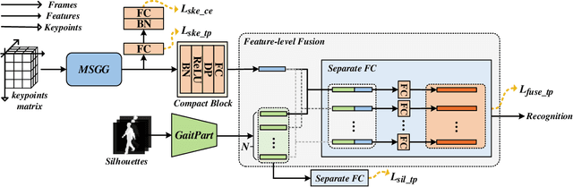 Figure 2 for Learning Rich Features for Gait Recognition by Integrating Skeletons and Silhouettes