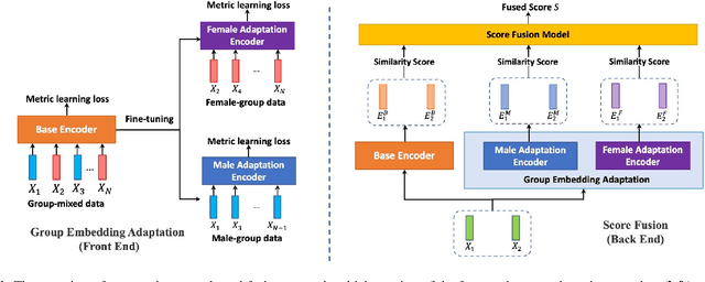 Figure 1 for Improving fairness in speaker verification via Group-adapted Fusion Network